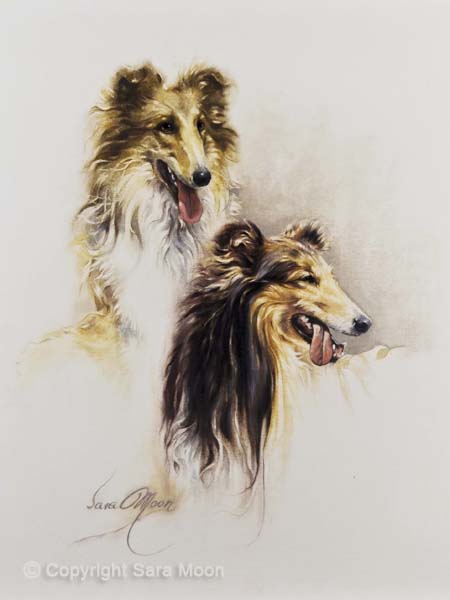 "Friends" (Collie Dogs) by Sara Moon
