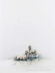 White Stallion by Sara Moon