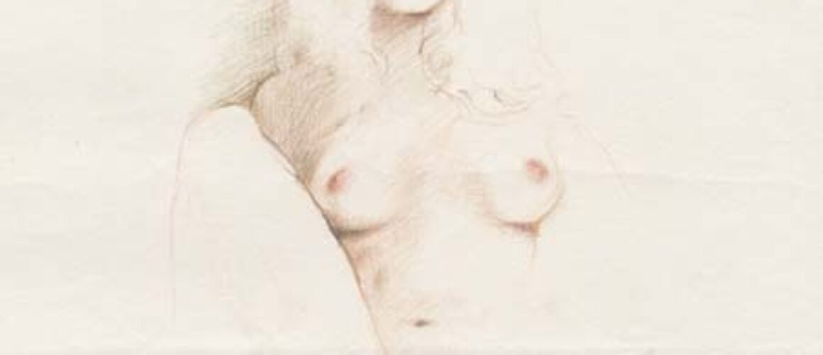 THE ORIGINAL <br>Nude Sketch No.101
